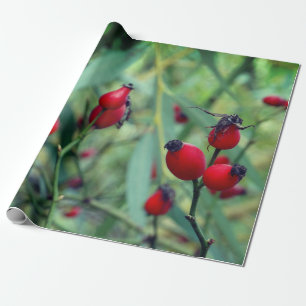 Papier Cadeau Rose hanche Automne Phtographie Papier à enveloppe