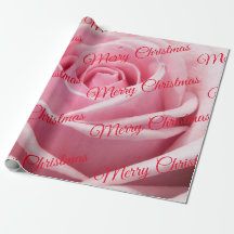 Rose rose Joyeux Noël