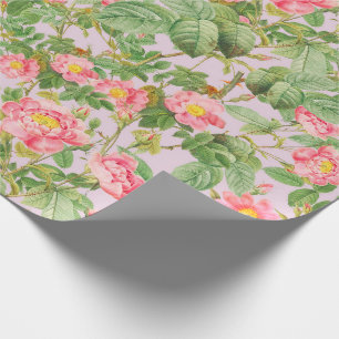 Papier cadeau rose rose vintage sur fond lilas cla