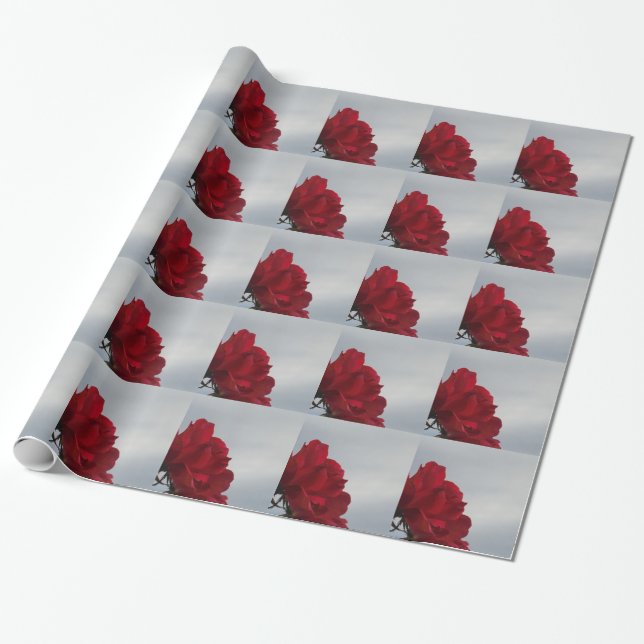 Papier Cadeau Roses rouges contre un ciel bleu vif (Déroulé)