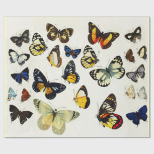 Papier Cadeau ROUGE JAUNE BLEU BLANC BUTTERFLIES Beauté Nature