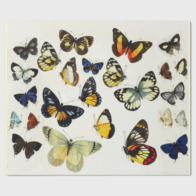 Papier Cadeau ROUGE JAUNE BLEU BLANC BUTTERFLIES Beauté Nature (Plat)