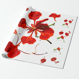 Papier Cadeau Royal Poinciana