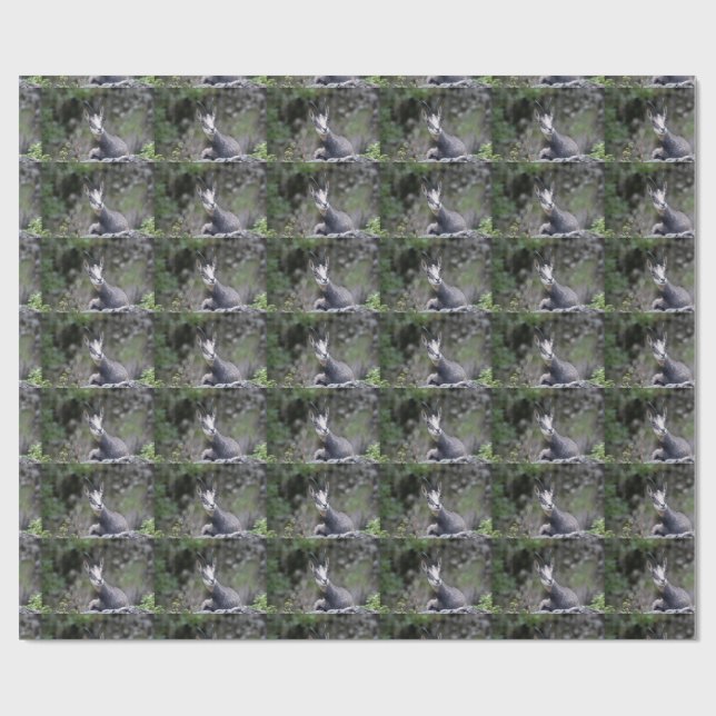 Papier Cadeau Rupicapra rupicapra (Plat)