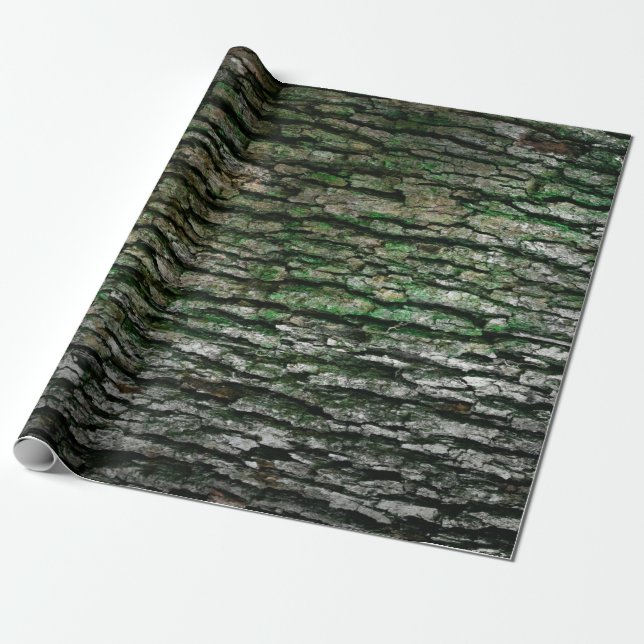 Papier Cadeau Russe Faux Grain Arbre Barre Moss (Déroulé)