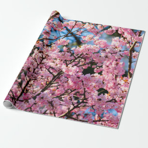 Papier Cadeau Sakura Arbre À Vivre En Fleur Rose