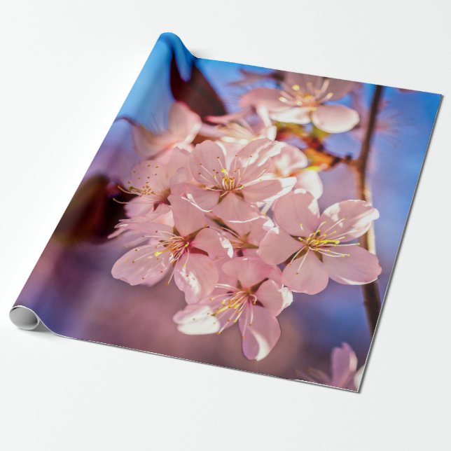 Papier Cadeau Sakura Dans L'Ombre Des Arbres (Déroulé)