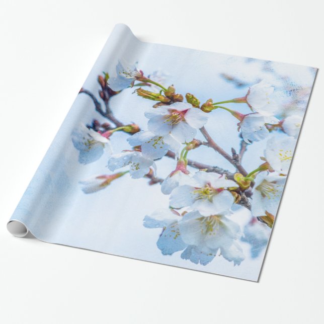 Papier Cadeau Sakura - Fleur de cerisier japonaise (Déroulé)