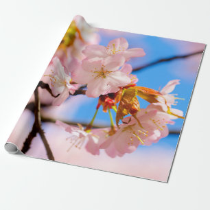 Papier Cadeau Sakura Rose Fleurs Lors D'Une Chaleureuse Journée 