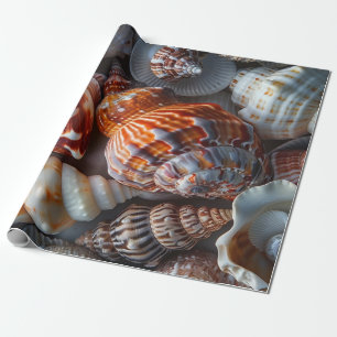 Papier Cadeau Sally Vend Coquillages