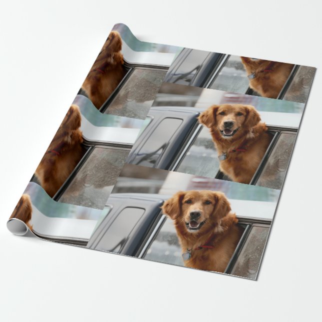 Papier Cadeau Salut (Déroulé)