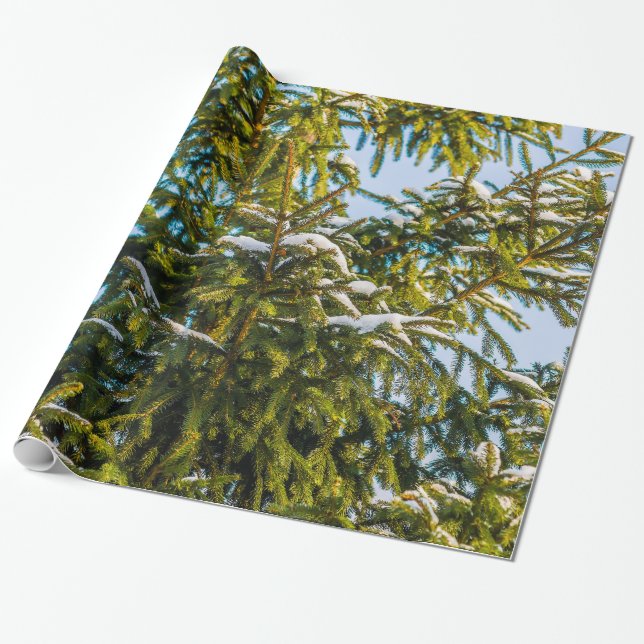 Papier Cadeau Sapin de Noël vert dans la neige (Déroulé)