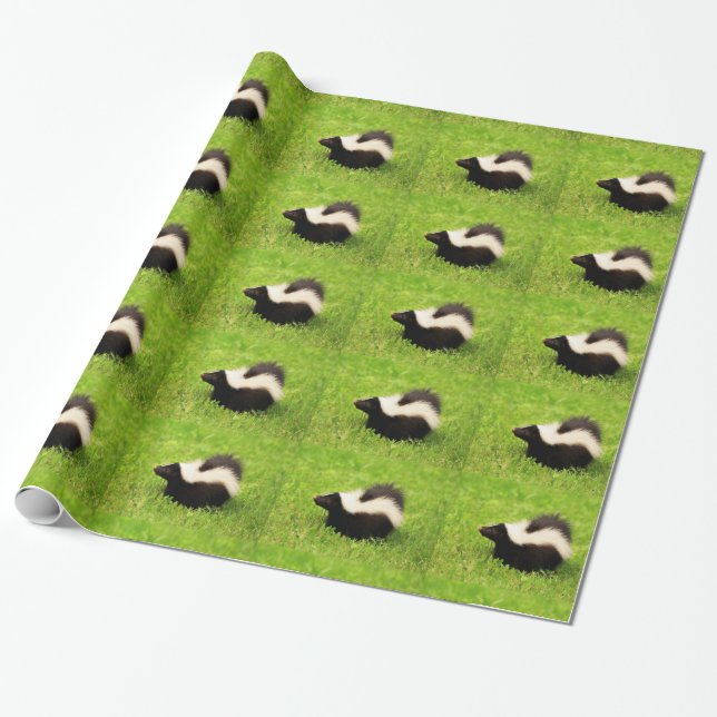 Papier Cadeau Saute à plusieurs bandes (Déroulé)
