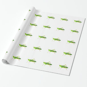 Papier Cadeau Sauterelle verte colorée