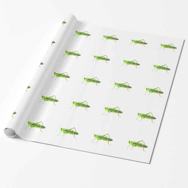 Papier Cadeau Sauterelle verte colorée (Déroulé)