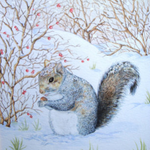 Papier Cadeau scène de neige d'écureuil gris mignon faune origin