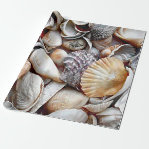 Papier Cadeau Sea Shells Ocean Beach Belle Découpage