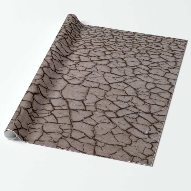Papier Cadeau Séché (Déroulé)