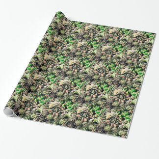 Papier Cadeau Sempervivums succulent - rose et vert