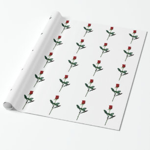 PAPIER CADEAU S'EST LEVÉ