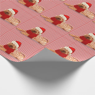Papier Cadeau Shar Pei Chien Chèques de vacances Noël