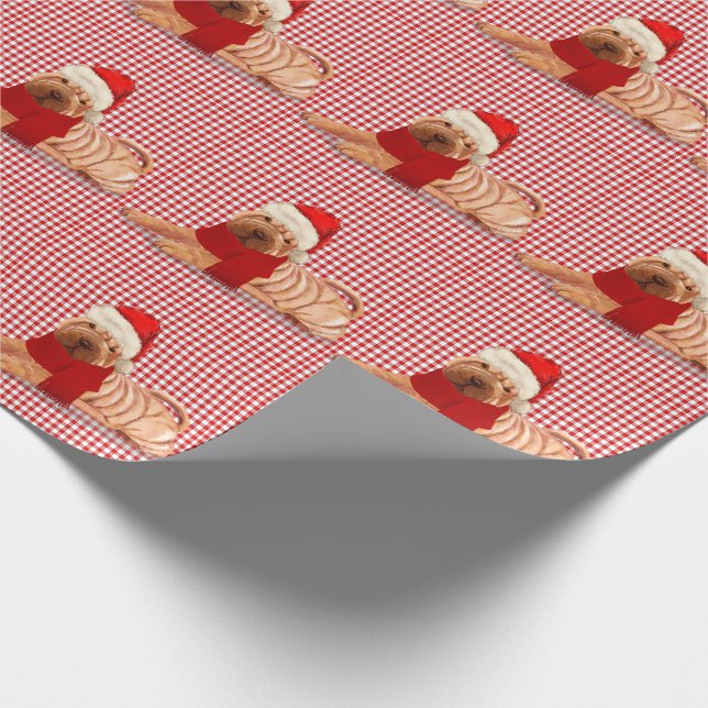 Papier Cadeau Shar Pei Chien Chèques de vacances Noël (Coin)