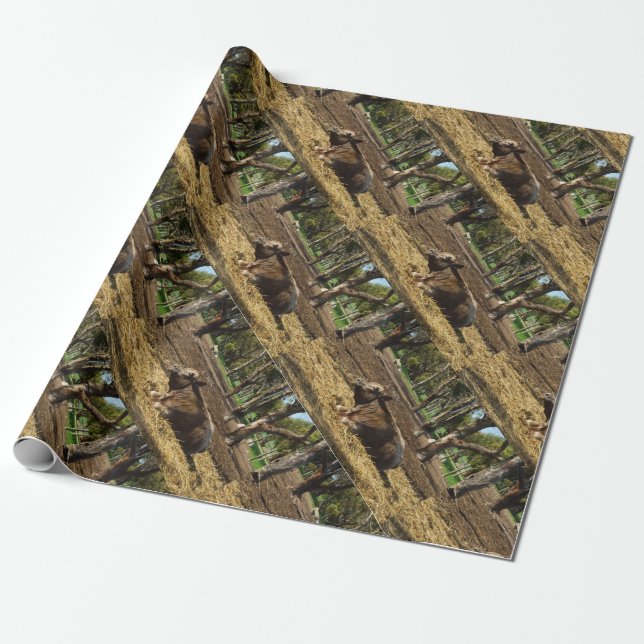 Papier Cadeau Sieste de l'après-midi de la vache Brown, (Déroulé)