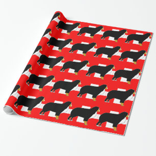 Papier Cadeau silhouette de bernois sur drapeau beige