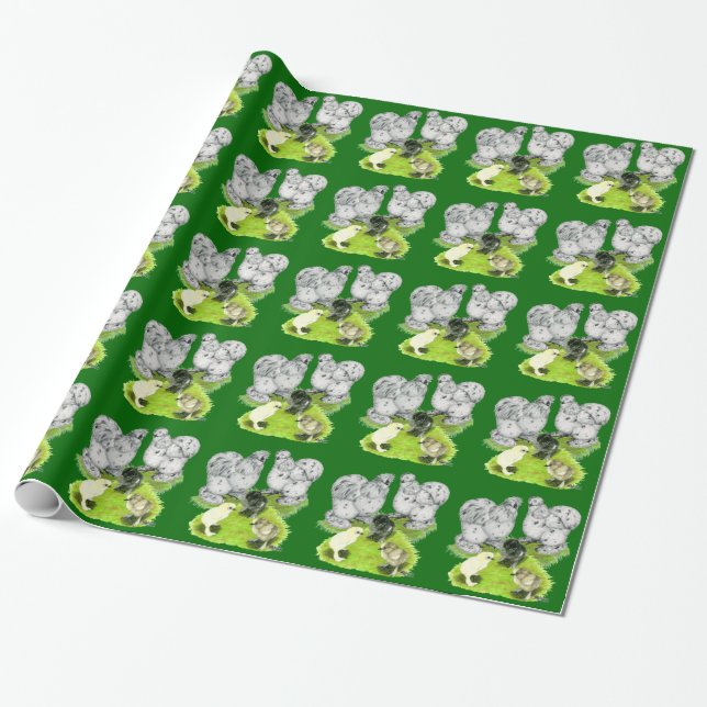 Papier Cadeau Silkie Bantam Splash Family (Déroulé)