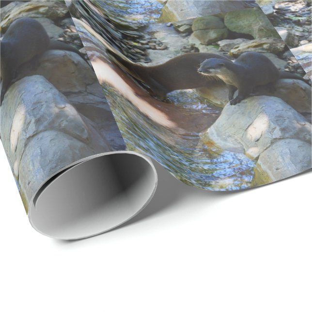 Papier Cadeau **"Sips by the Stream : Otters Drinking from River (Coin rond)