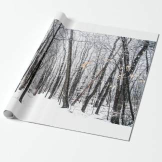 Papier Cadeau Snowy Scene dans Woodland Michigan
