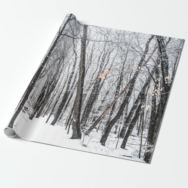Papier Cadeau Snowy Scene dans Woodland Michigan (Déroulé)
