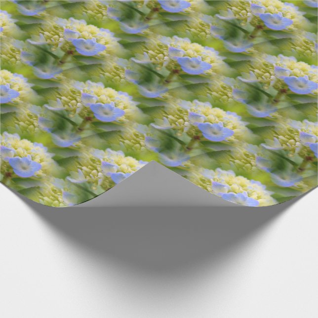 Papier Cadeau Soft Blue Hydrangea Flower (Coin)