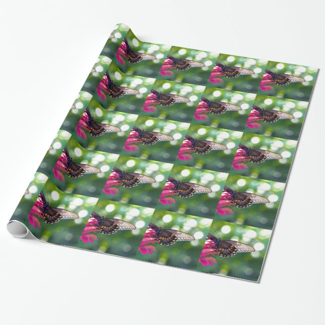 Papier Cadeau Spicebush Swallower (Déroulé)