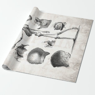 Papier Cadeau Squelettes antiques squelettiques d'anatomie de
