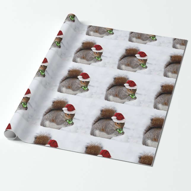 Papier Cadeau Squerrl card (Déroulé)