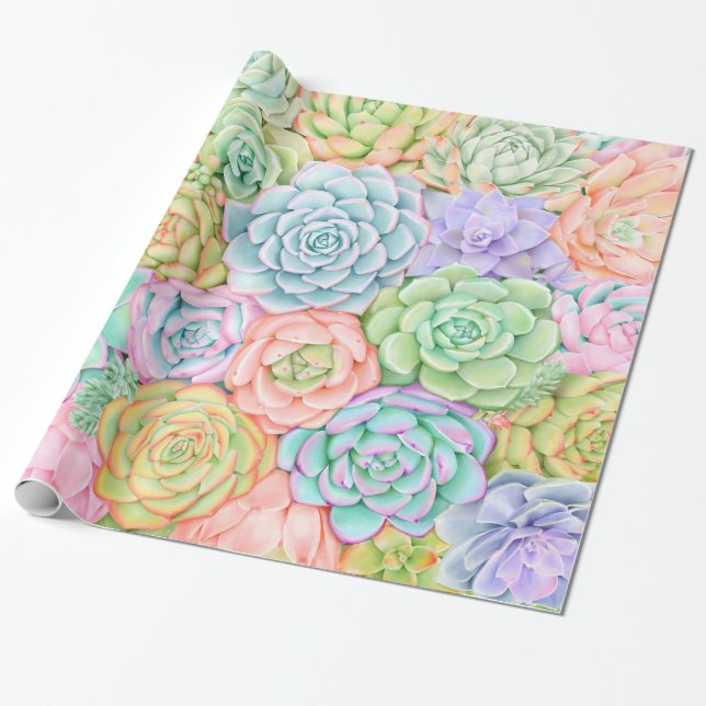Papier Cadeau Succulents Aquarelle colorée Pastel Joyeux (Déroulé)
