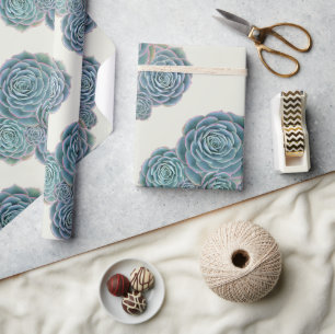 Papier Cadeau Succulents bleus sur Ecru Toutes les occasions Env