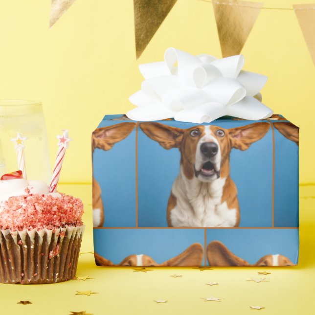 Papier Cadeau Surprised Basset Hound (Fête d'anniversaire)
