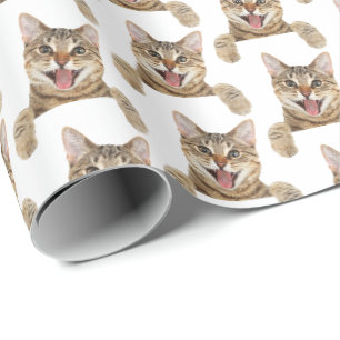 Papier Cadeau tabby chat souriant sur blanc