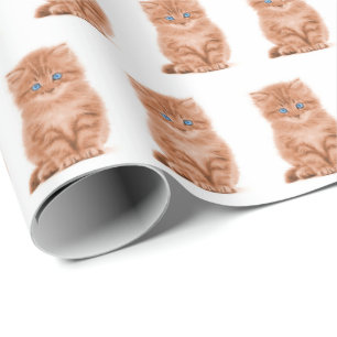 Papier Cadeau Tabby Kitten En Blanc