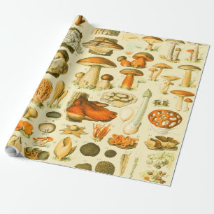 Papier Cadeau Tabouret de toilette Vintage de champignons Illust