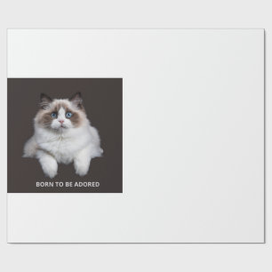 Papier Cadeau Tasse Chat - Né pour être Adoré