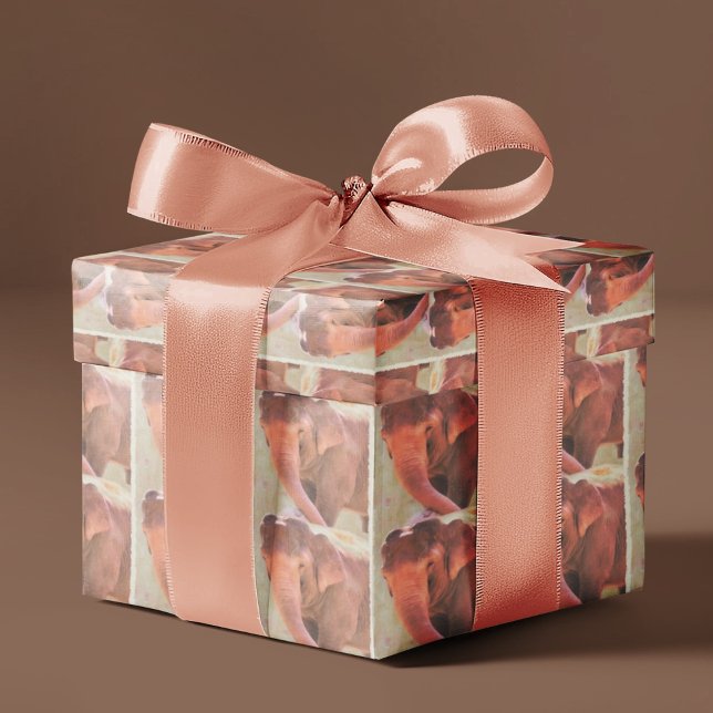 Papier Cadeau Temps De Jeu Pour Papier À Emballage D'Éléphant (Créateur téléchargé)