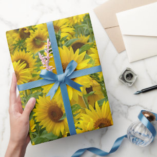 Papier Cadeau Terrain de tournesol jaune