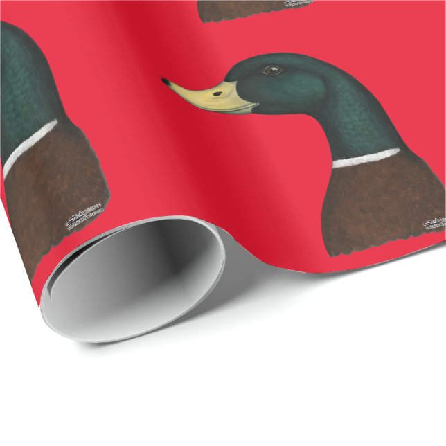 Papier Cadeau Tête de Mallard Drake (Coin rond)