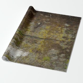 Papier Cadeau Texture de mousse verte et arrière - plan. abstrai