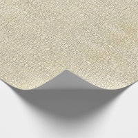 Texture ene ivoire de craquement