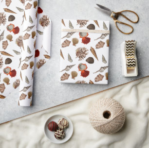 Papier Cadeau Thème Plage de Coquillages Exotiques