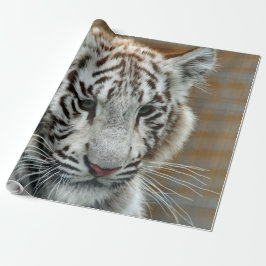 Papier Cadeau Tiger20151001